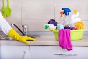 Professional Cleaning Services